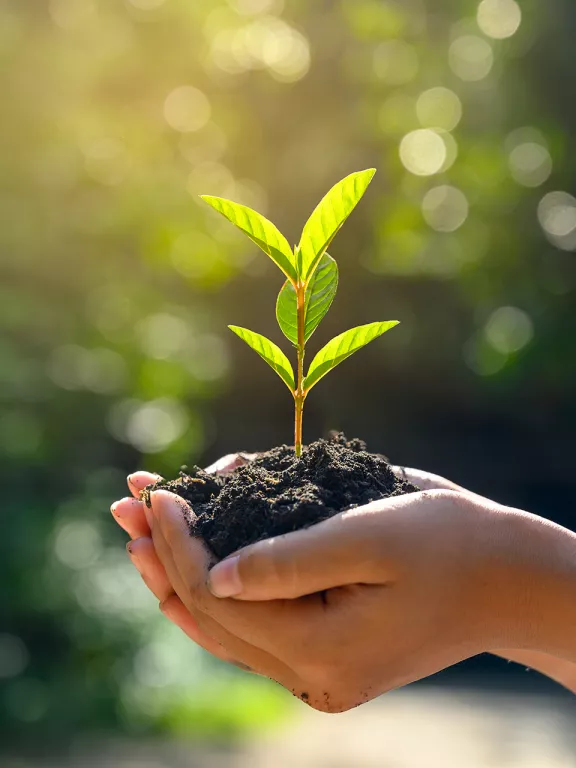 GPL Attività commerciali - 3 Il GPL trova diffusa collocazione in ambito commerciale, per uso industriale e agricolo. Scopri l'offerta GPL per le attività comerciali. - 3