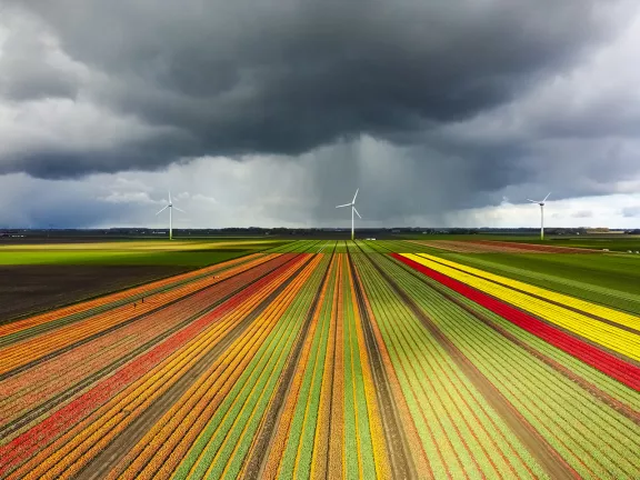 L'impatto energetico delle attività dell'uomo sul pianeta - 5 AGN ENERGIA è in prima linea nella ricerca di sistemi di approvvigionamento sostenibili ed etici. Scopri l'impatto energetico dell'uomo. - 5